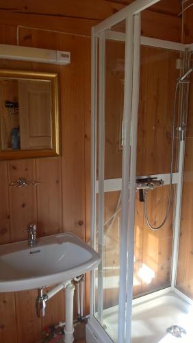 a bathroom with a shower and a sink at Brekkøye i Lom in Lom