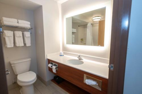 a bathroom with a toilet and a sink with a mirror at Holiday Inn Express & Suites Iron Mountain, an IHG Hotel in Iron Mountain