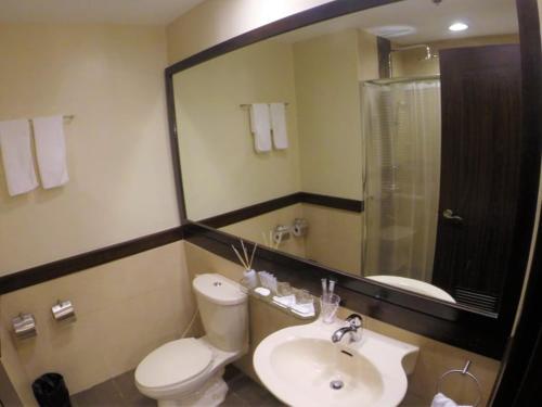 a bathroom with a toilet and a sink and a mirror at Private Unit Forest Lodge Lodge Camp John Hay in Baguio