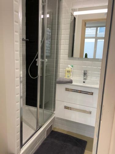 une salle de bain avec douche et lavabo dans l'établissement Large and unique souplex 60sqm, well located, à Paris