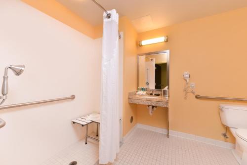 a bathroom with a toilet and a sink at Holiday Inn Express and Suites Dickson City by IHG in Dickson City