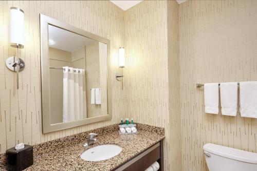 A bathroom at Holiday Inn Express and Suites Columbia University Area, an IHG Hotel