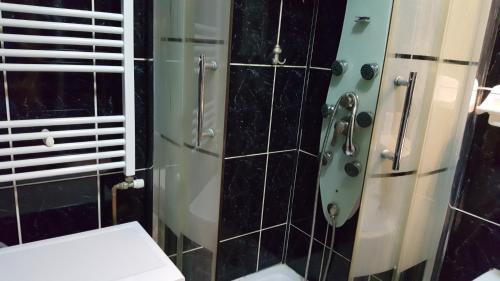 y baño con ducha y aseo. en Venus Plaza Apartment Ploiesti en Ploieşti