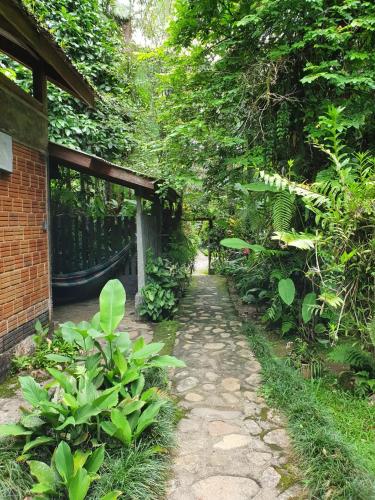 a garden with a path leading to a building at Pousada do Oasis in Morretes