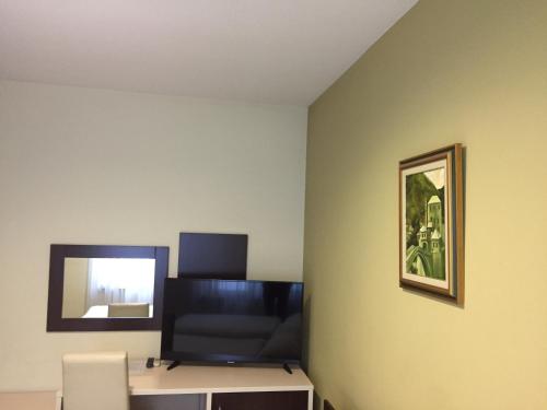 a room with a chair and a mirror on a wall at Villa Park in Mostar