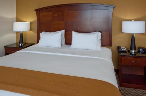 a bedroom with a large bed with two nightstands and two lamps at Holiday Inn Express & Suites Austin South-Buda by IHG in Buda