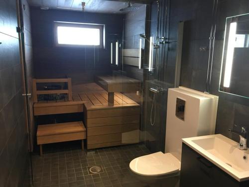 een kleine badkamer met toilet en wastafel bij Levin Kunkku C 7 in Levi