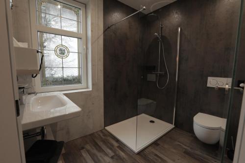 a bathroom with a shower and a sink and a toilet at Vergissmeinnicht in Oberhof