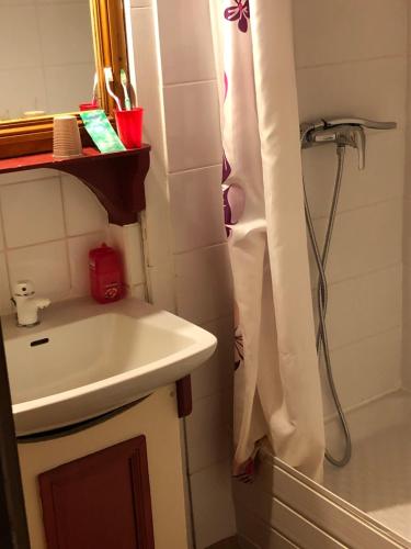 y baño con lavabo y ducha. en Le Boustrophédon en Antraigues
