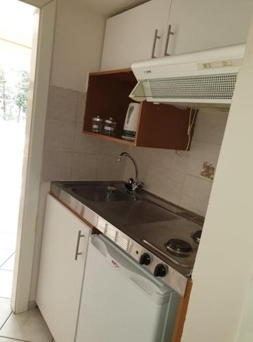 S-V Apartment
