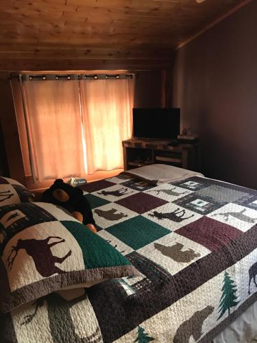 Strong Timbers BnB – Photos 3