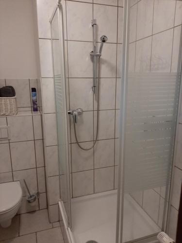 eine Dusche mit Glastür im Bad in der Unterkunft Adelshof Quedlinburg in Quedlinburg