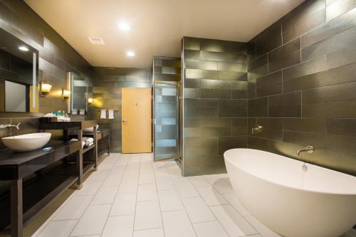 ein Badezimmer mit zwei Waschbecken, einer Badewanne und einer Dusche in der Unterkunft Holiday Inn Express & Suites Amarillo West, an IHG Hotel in Amarillo