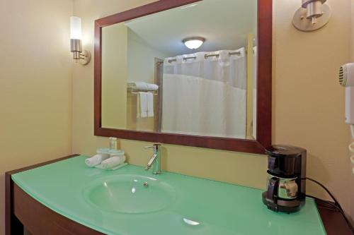 baño con lavabo y espejo grande en Holiday Inn Express Hotel & Suites Charleston-Southridge, an IHG Hotel, en Charleston