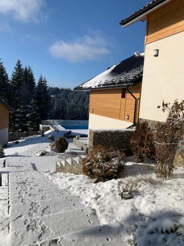 a house in the snow with footprints in the yard at Gogodz Chalet Resort in Yablunytsya