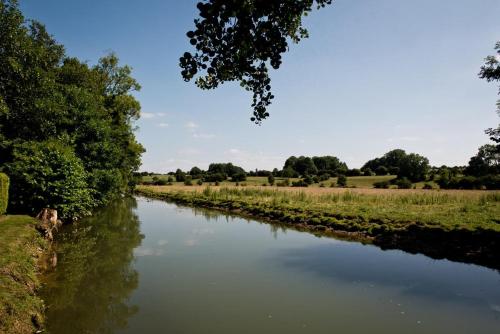 a river with trees and a field in the background at Gîte La feuille d'Acanthe in Bucilly