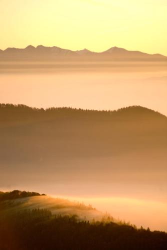 a field of fog with mountains in the background at Salaš Syrex in Zázrivá