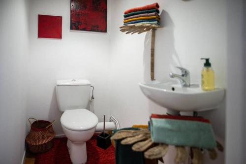 une salle de bain avec toilettes et lavabo dans l'établissement Duplex tout équipé, proche centre-ville COLMAR, parking, à Colmar