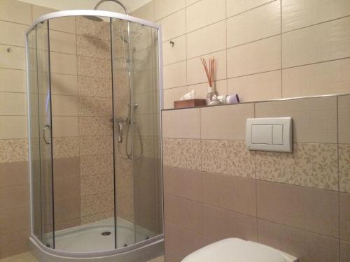 a bathroom with a glass shower and a toilet at Rezidence Věstonice in Horní Věstonice