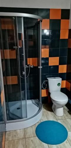 Bilik mandi di GOŚCINIEC AGROZAJAZD