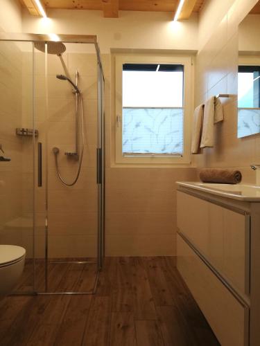 a bathroom with a shower and a toilet and a sink at Gisshübelhof in Andrian