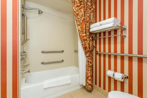 Vonios kambarys apgyvendinimo įstaigoje Holiday Inn Express & Suites Bloomington, an IHG Hotel