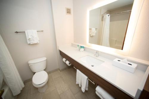 a bathroom with a toilet and a sink and a mirror at Holiday Inn Express Hotel & Suites Lexington-Downtown University by IHG in Lexington