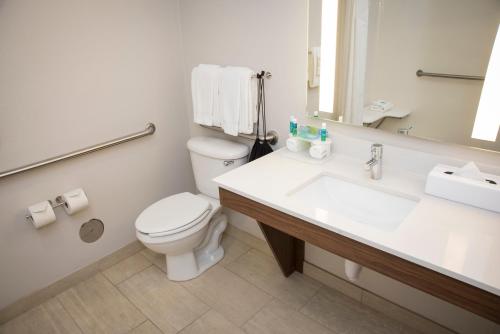 a bathroom with a toilet and a sink and a mirror at Holiday Inn Express Hotel & Suites Lexington-Downtown University, an IHG Hotel in Lexington