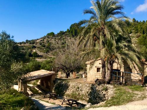 eine Palme und ein Gebäude mit einer Palme in der Unterkunft al-qandil in Margarida