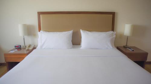 a large bed with two pillows and two night stands at Holiday Inn Express and Suites Celaya by IHG in Celaya