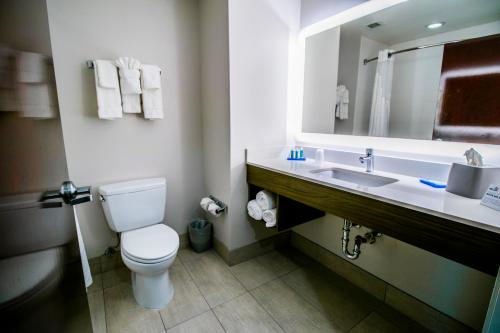 a bathroom with a toilet and a sink and a mirror at Holiday Inn Express Hotel & Suites Baton Rouge -Port Allen by IHG in Port Allen