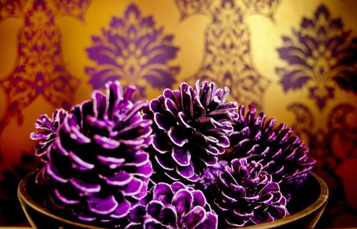 two purple plants in a bowl on a table at Boutique 25 in Skipton
