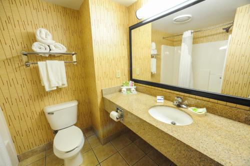 a bathroom with a toilet and a sink and a mirror at Holiday Inn Express Hotel & Suites Bowling Green by IHG in Bowling Green