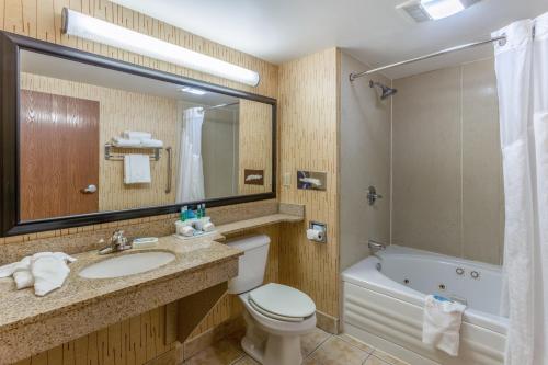 Ένα μπάνιο στο Holiday Inn Express Hotel & Suites Bowling Green, an IHG Hotel