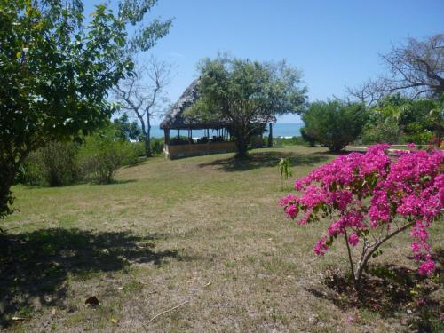 a garden with a gazebo and pink flowers at Bahari Pori Resort in Pangani