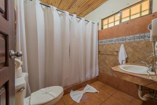 a bathroom with a shower and a toilet and a sink at Hotel Monte Real in Fortuna