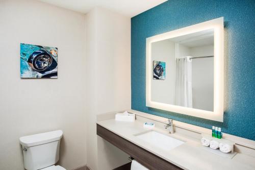 Et badeværelse på Holiday Inn Express & Suites Litchfield, an IHG Hotel