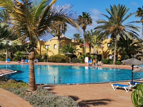 Appartamento Spagnolo Oasis Tamarindo, Corralejo ...