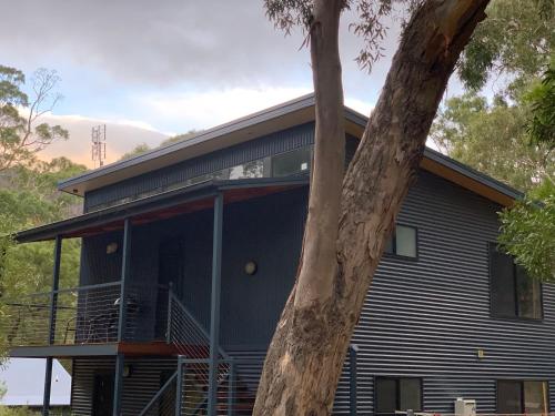 a house with a large window and a tree at The Lodges Two in Halls Gap