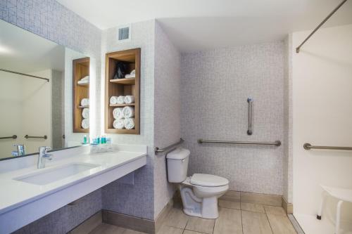 Holiday Inn Express & Suites Lexington Park California, an IHG Hotel في كاليفورنيا: حمام مع مرحاض ومغسلة