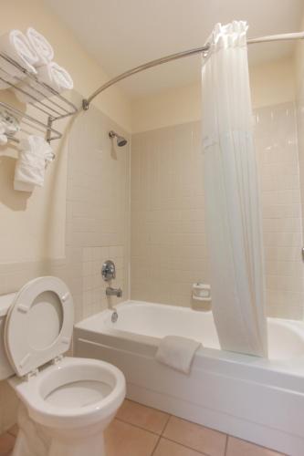 a bathroom with a tub and a toilet and a bath tub at Days Inn by Wyndham Shenandoah in The Woodlands