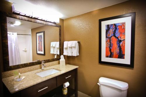 Et badeværelse på Holiday Inn & Suites Downtown La Crosse, an IHG Hotel