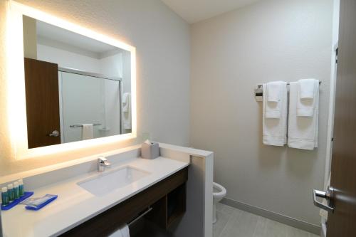 a bathroom with a sink and a mirror and a toilet at Holiday Inn Express & Suites Chicago North Shore - Niles, an IHG Hotel in Niles