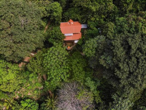 Landskap semula jadi dekat dengan rumah tamu ini