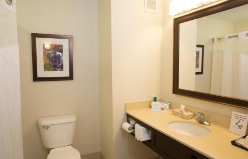 Ένα μπάνιο στο Holiday Inn Express Hotel & Suites Cherokee-Casino, an IHG Hotel