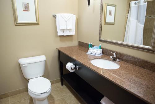 Bilik mandi di Holiday Inn Express & Suites Northwood by IHG