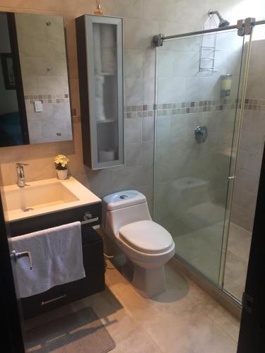 a bathroom with a shower and a toilet and a sink at Casa Campestre Las Palmas in Pereira