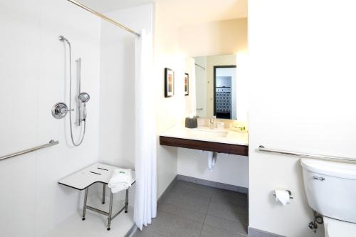 a bathroom with a shower and a toilet and a sink at Holiday Inn Hotel & Suites - Mount Pleasant by IHG in Mount Pleasant