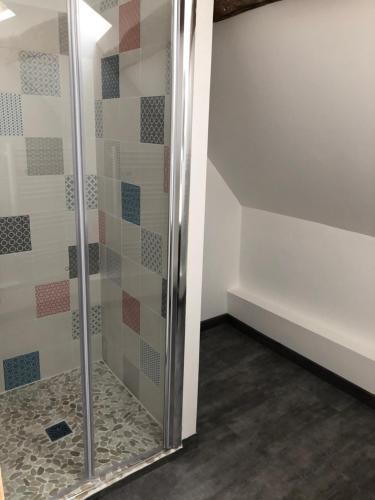 a shower with a glass door in a bathroom at NID DOUILLET in Sancerre