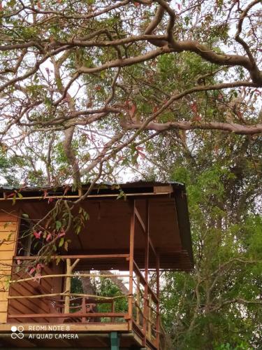 a tree house in the middle of a forest at Wilpattu Green Cabin in Achchamulai